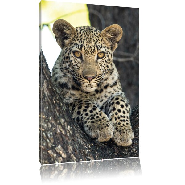 East Urban Home Leinwandbild Leopardenbaby Fotodruck Wayfair De